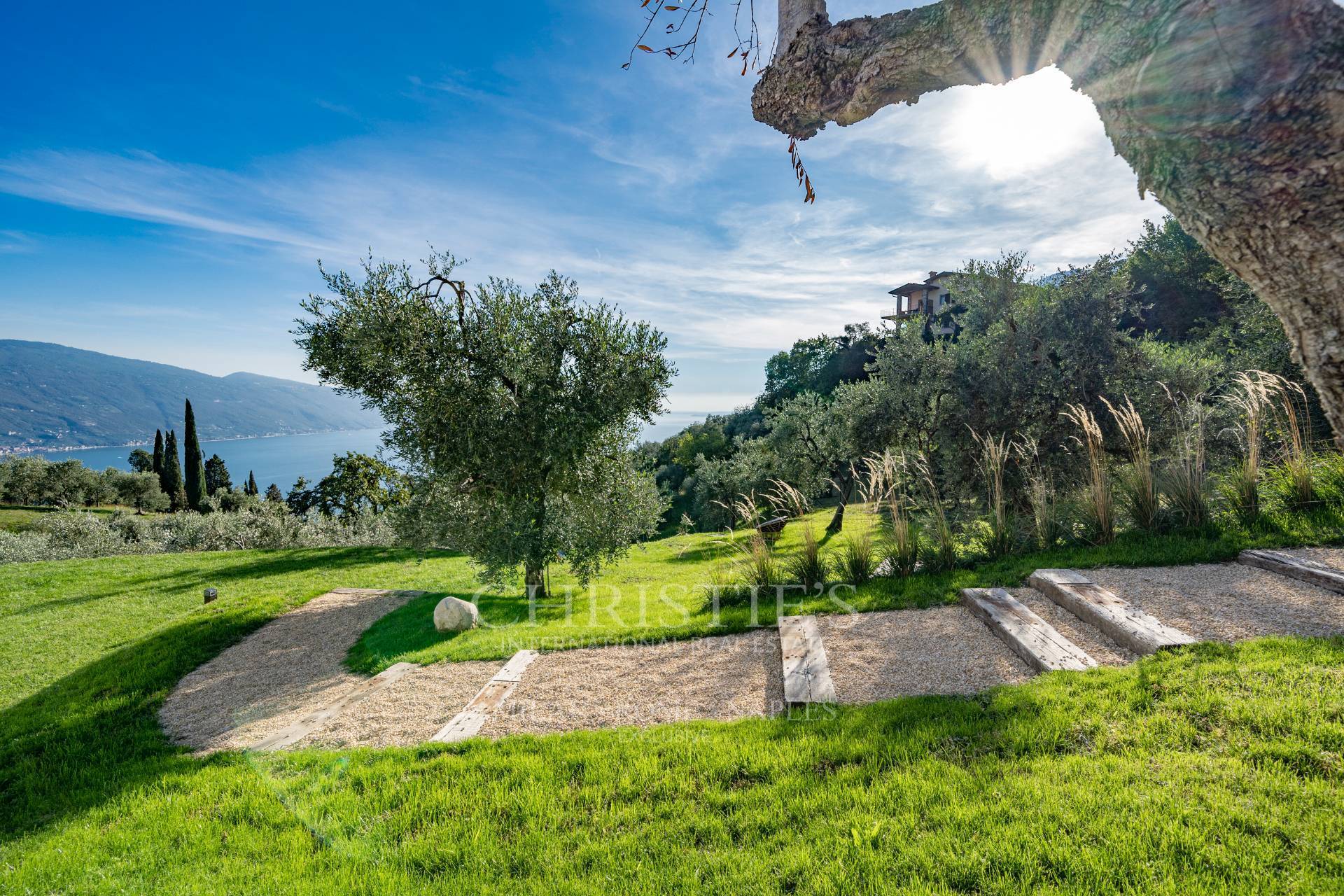 picture of Prestigious Villa Immersed In The Green Of An Olive Grove