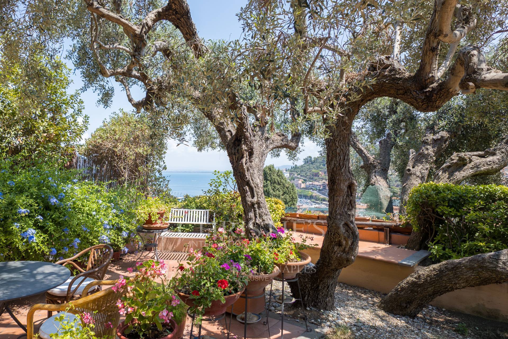 picture of Terrace Overlooking The Sea