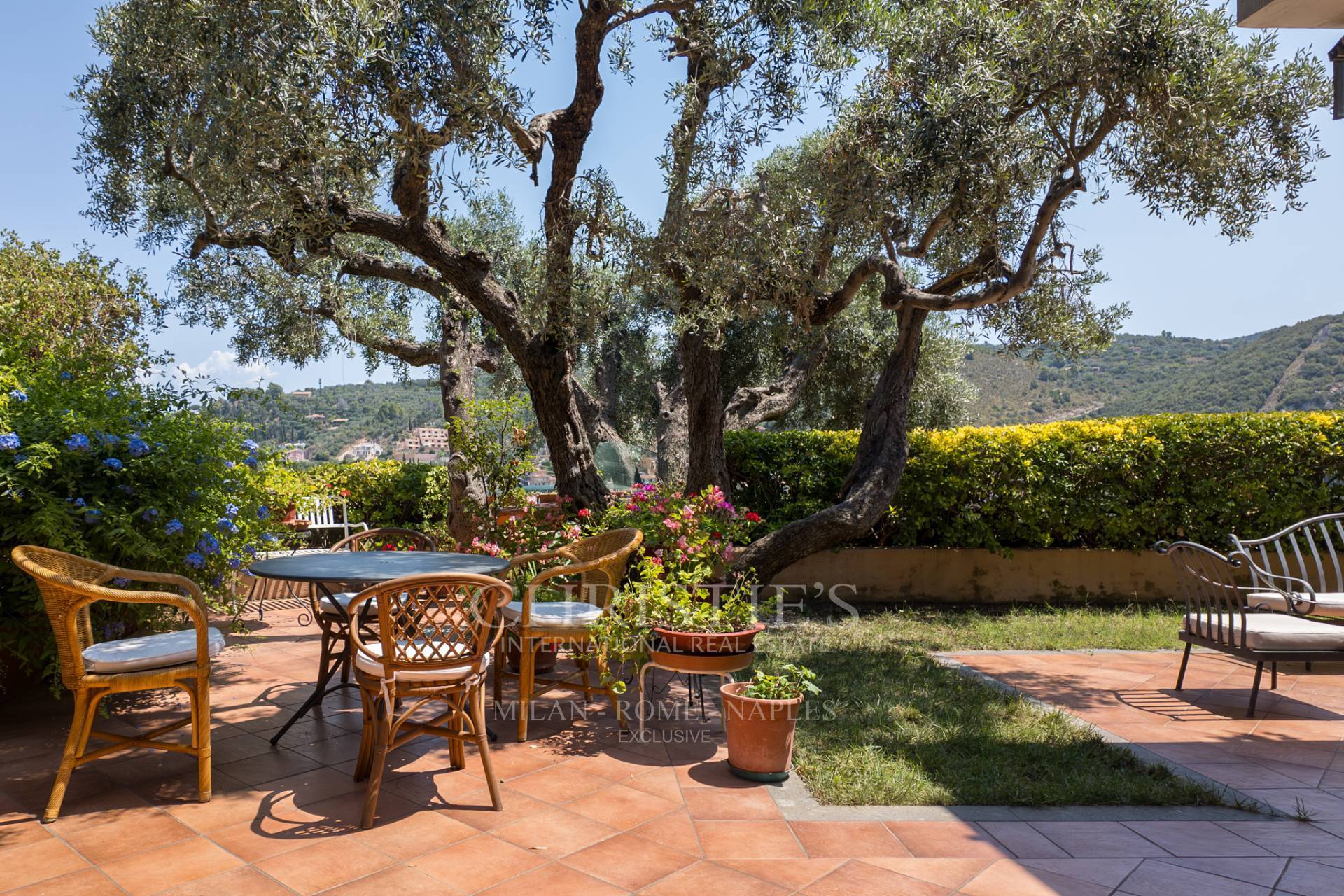 picture of Terrace Overlooking The Sea