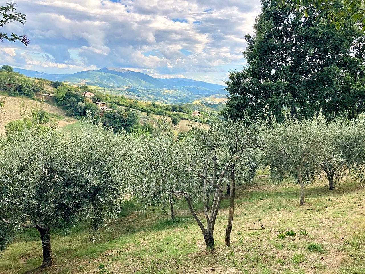 picture of Umbria - Splendid Estate With Farmhouse And Swimming Pool.