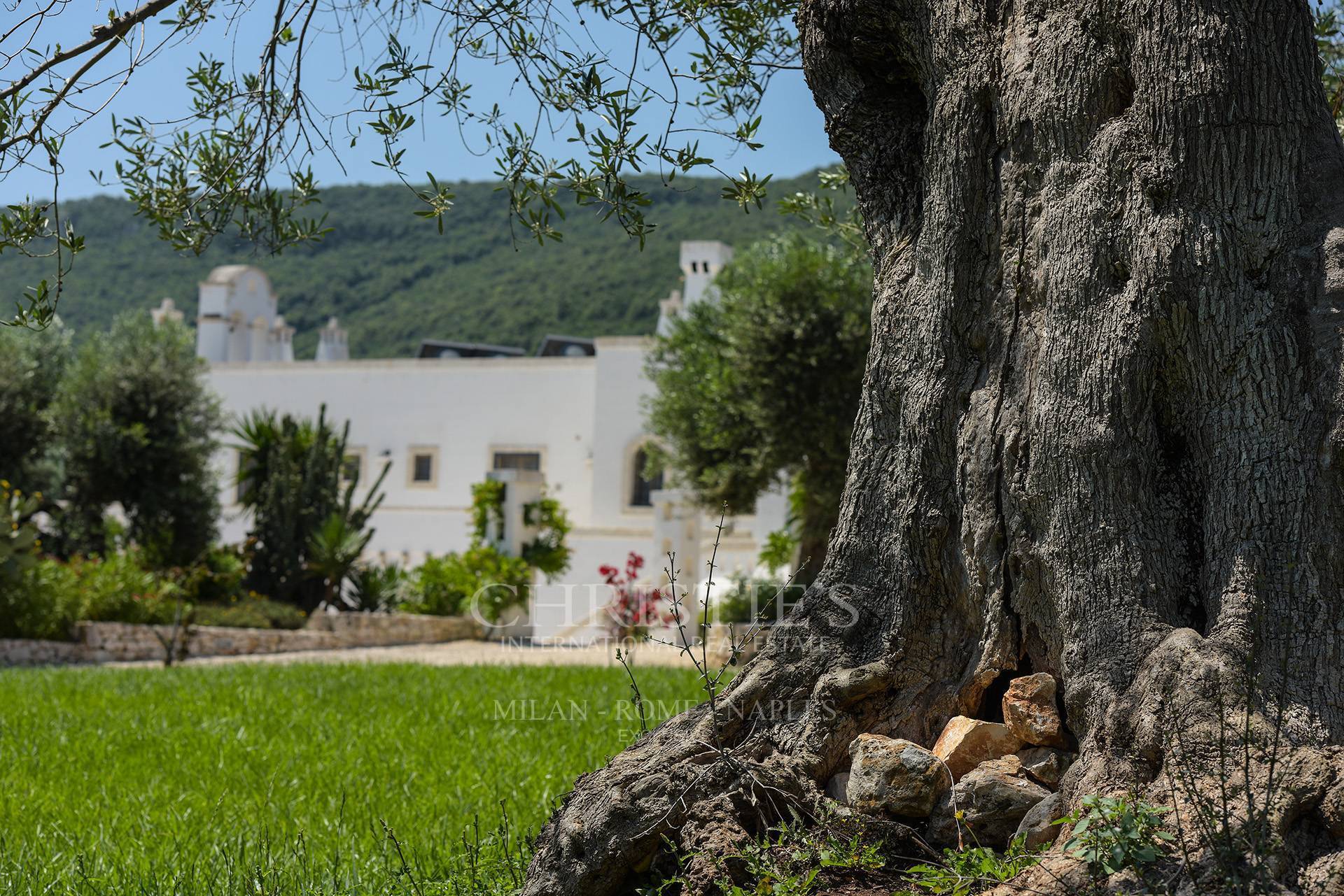 picture of Stunning Masseria With "frantoio Ipogeo" And Sea View