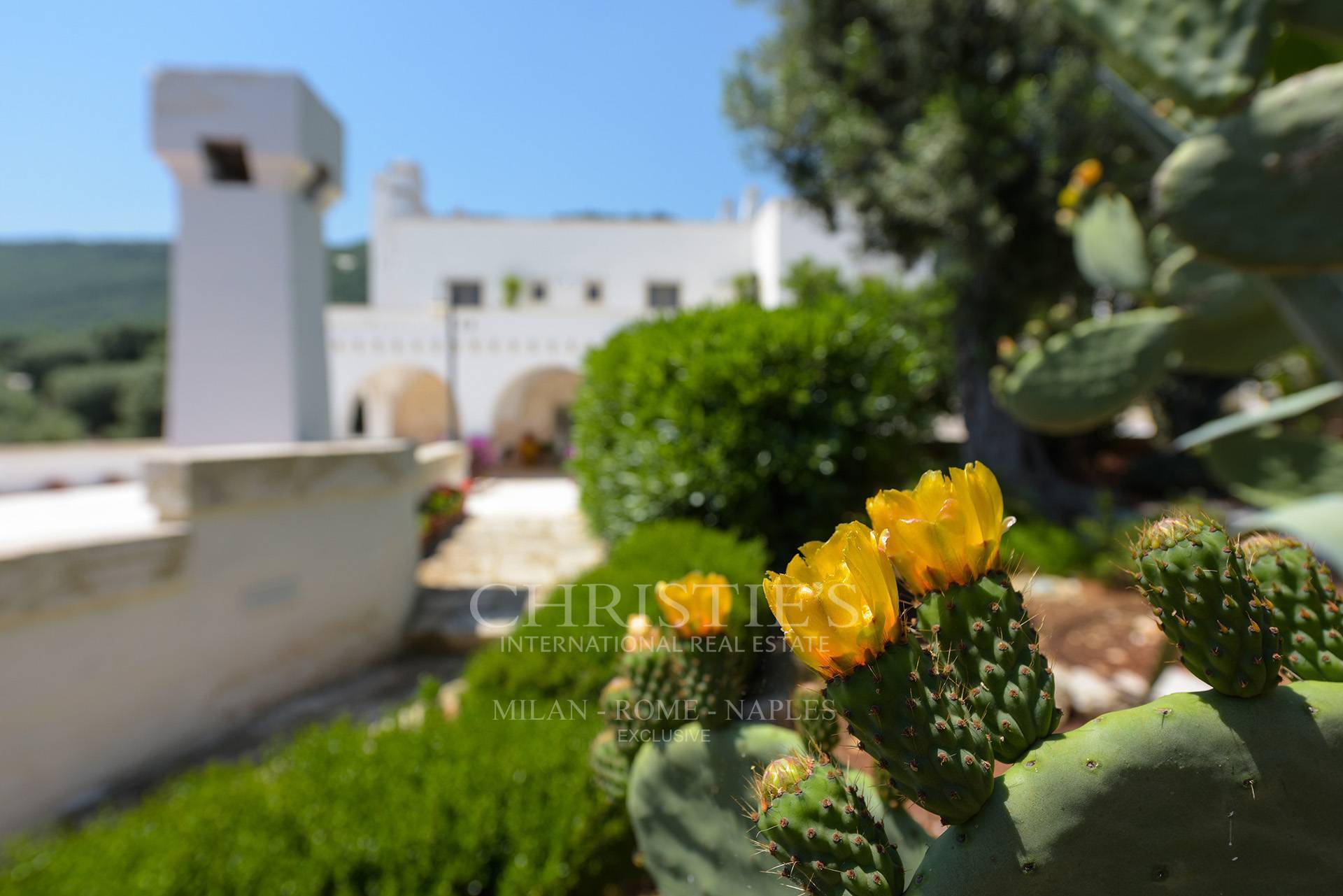 picture of Stunning Masseria With "frantoio Ipogeo" And Sea View