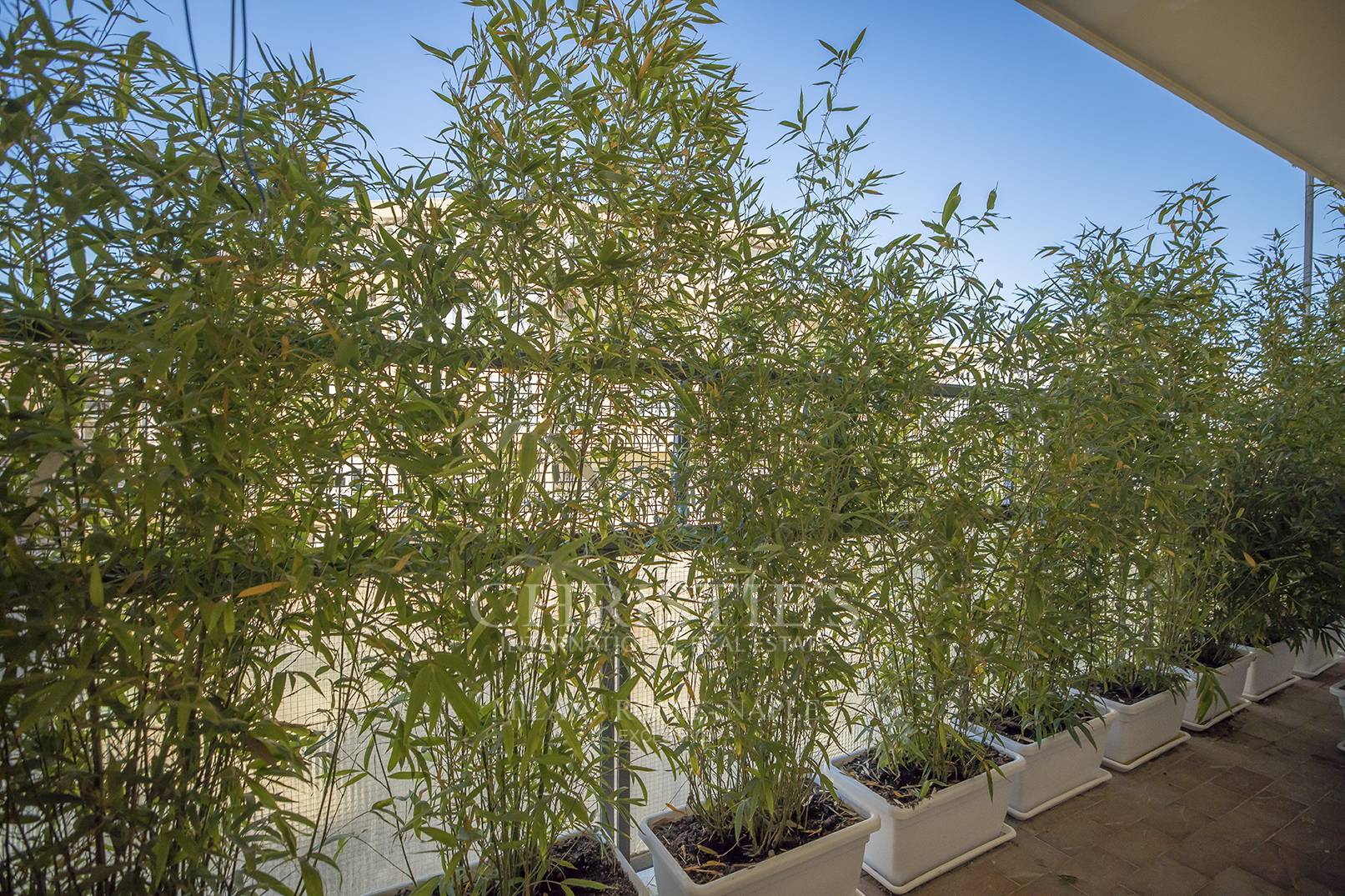 picture of Renovated Apartment In Balduina - Rome