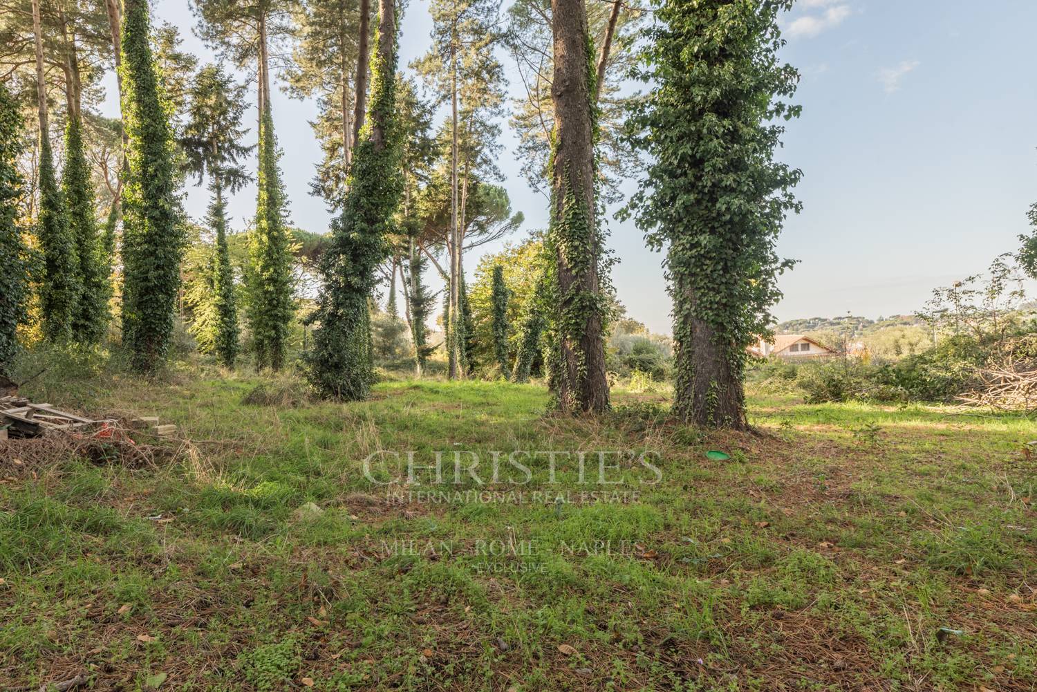 picture of Splendid Modern Villa With Garden – Rocca Di Papa