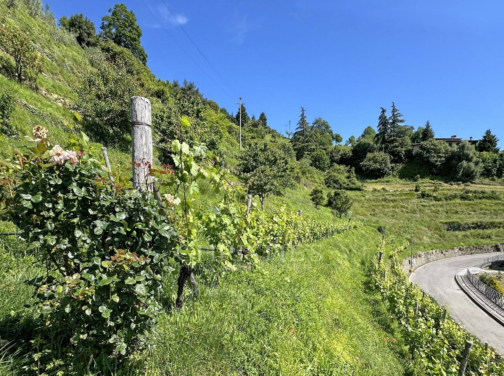 picture of Charming Villa With Terraced Garden Near Lecco And Lake Como