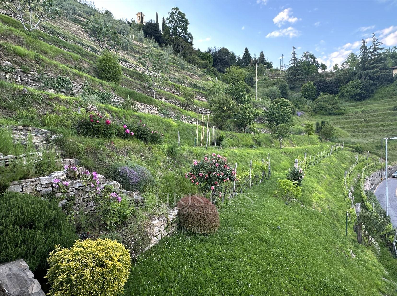 picture of Charming Villa With Terraced Garden Near Lecco And Lake Como