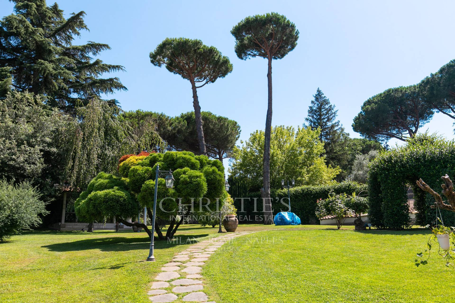 picture of House With Swimming Pool - Grottaferrata (rm)