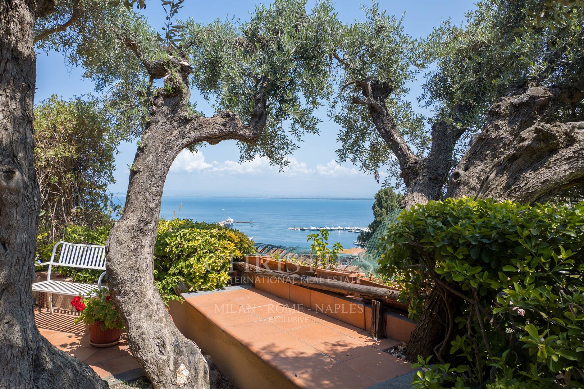 picture of Terrace Overlooking The Sea