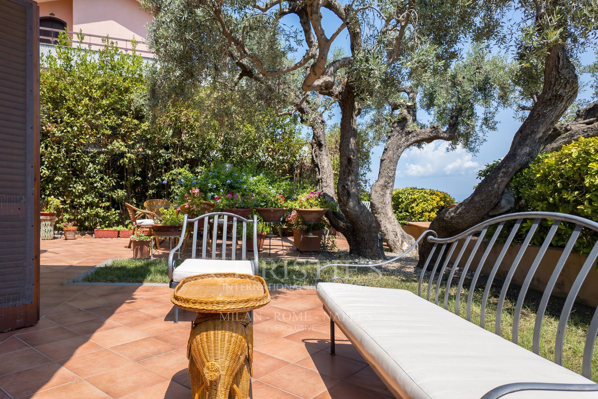 picture of Terrace Overlooking The Sea