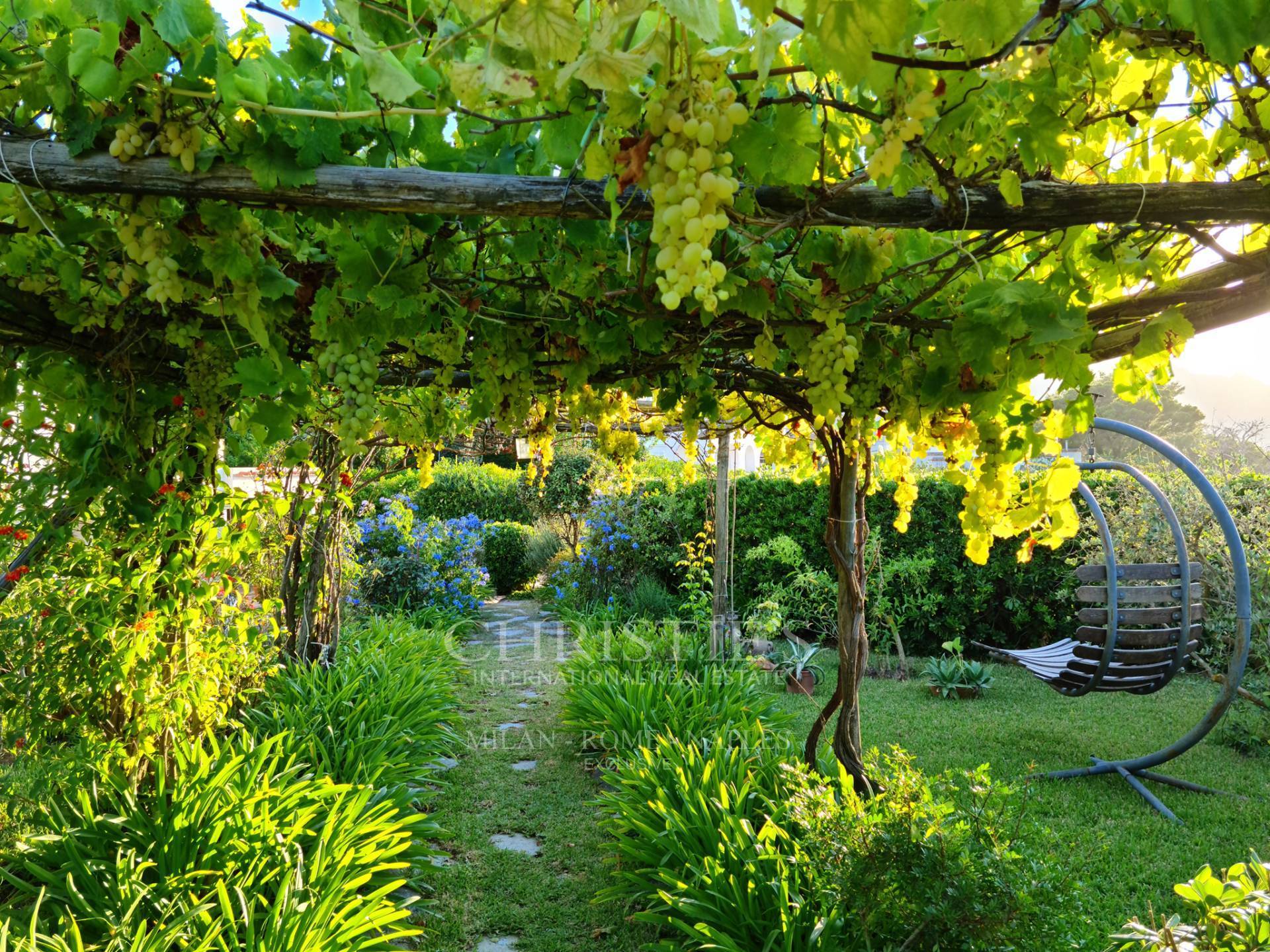 picture of Villa In Via Tiberio - Capri