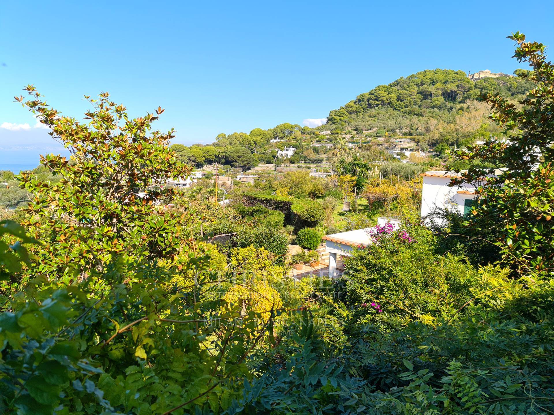picture of Villa In Via Tiberio - Capri