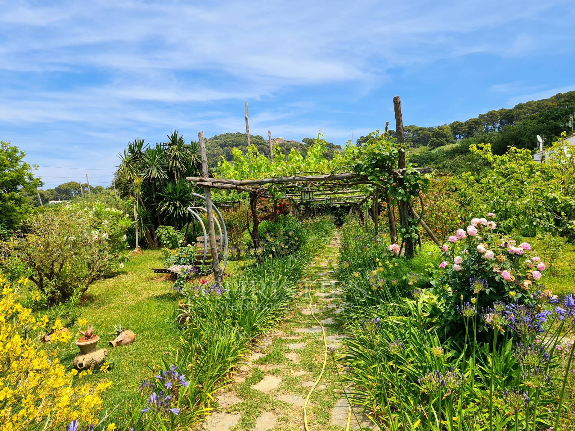 picture of Villa In Via Tiberio - Capri