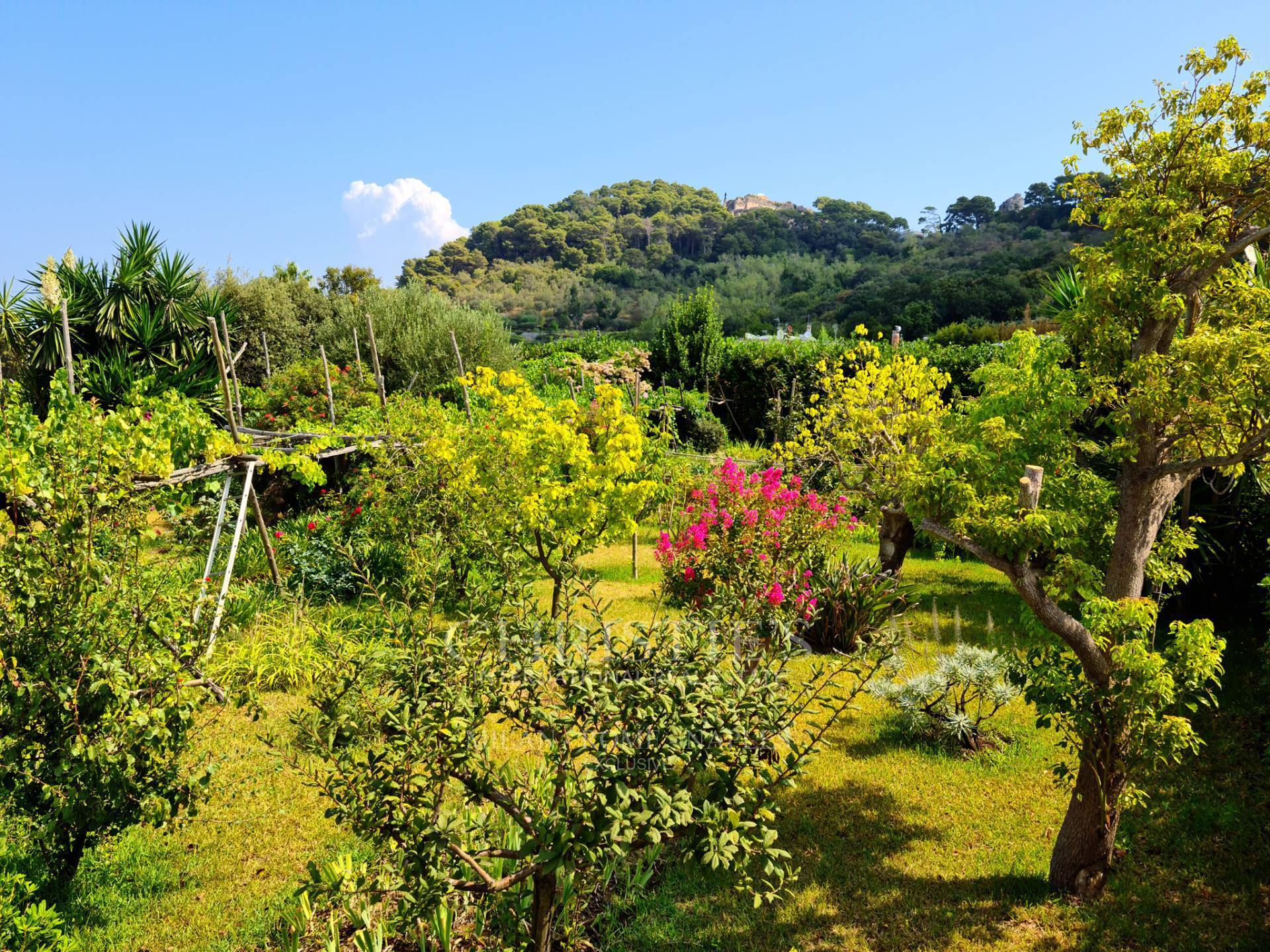 picture of Villa In Via Tiberio - Capri