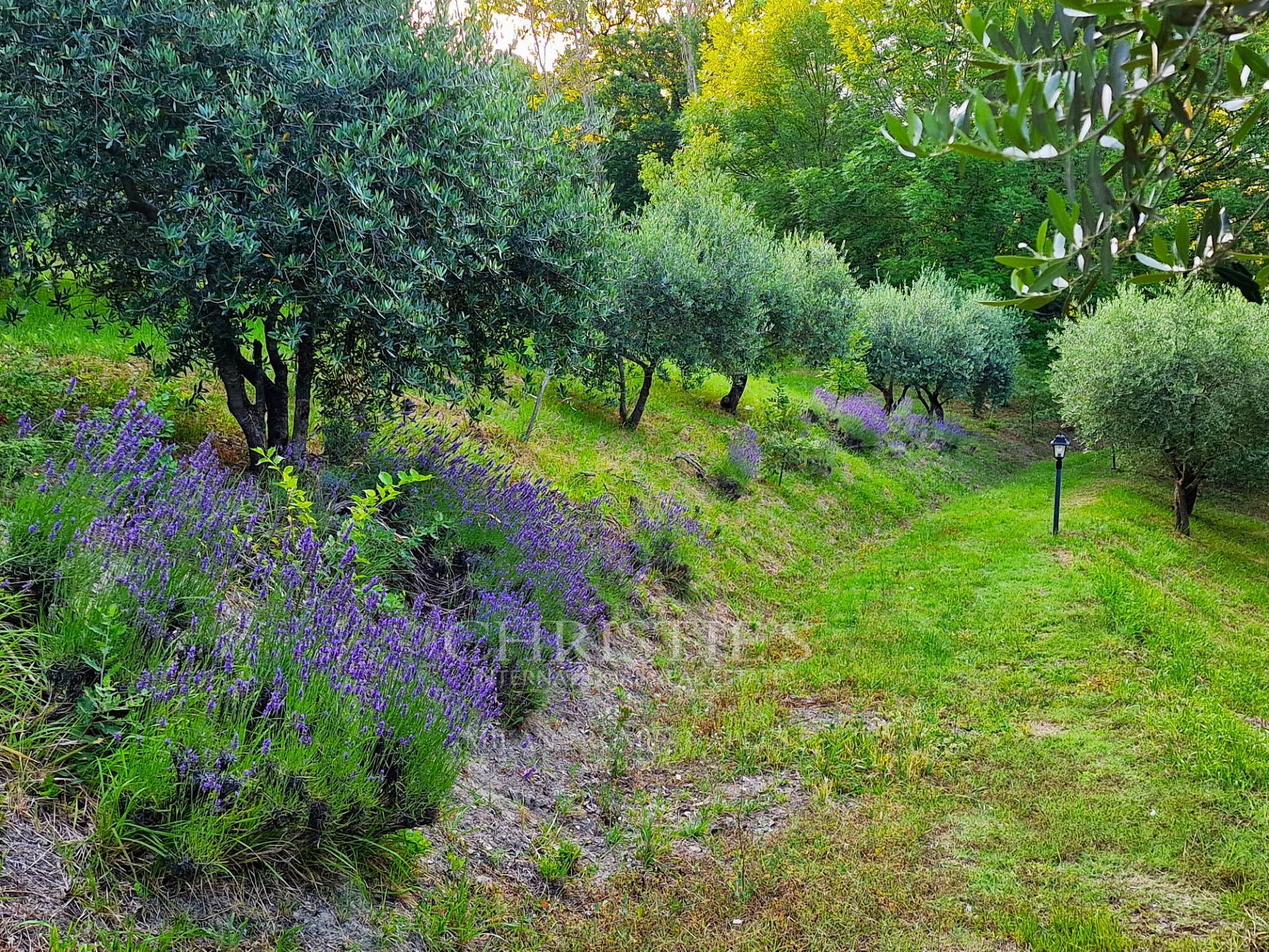 picture of Refined Farmhouse With Swimming Pool And Park Between Romagna And Tuscany