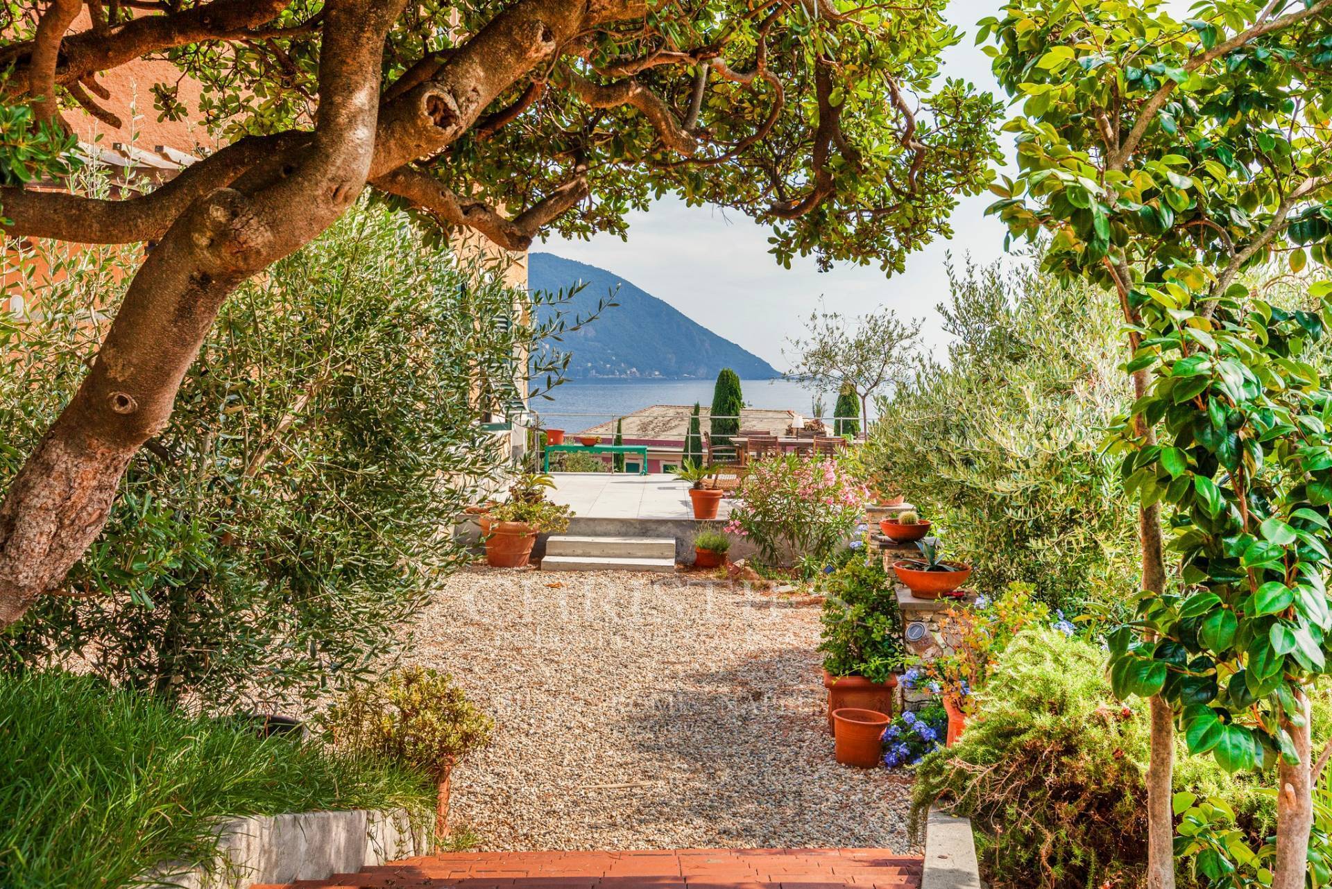 picture of Villa On The Eastern Ligurian Riviera - Levante