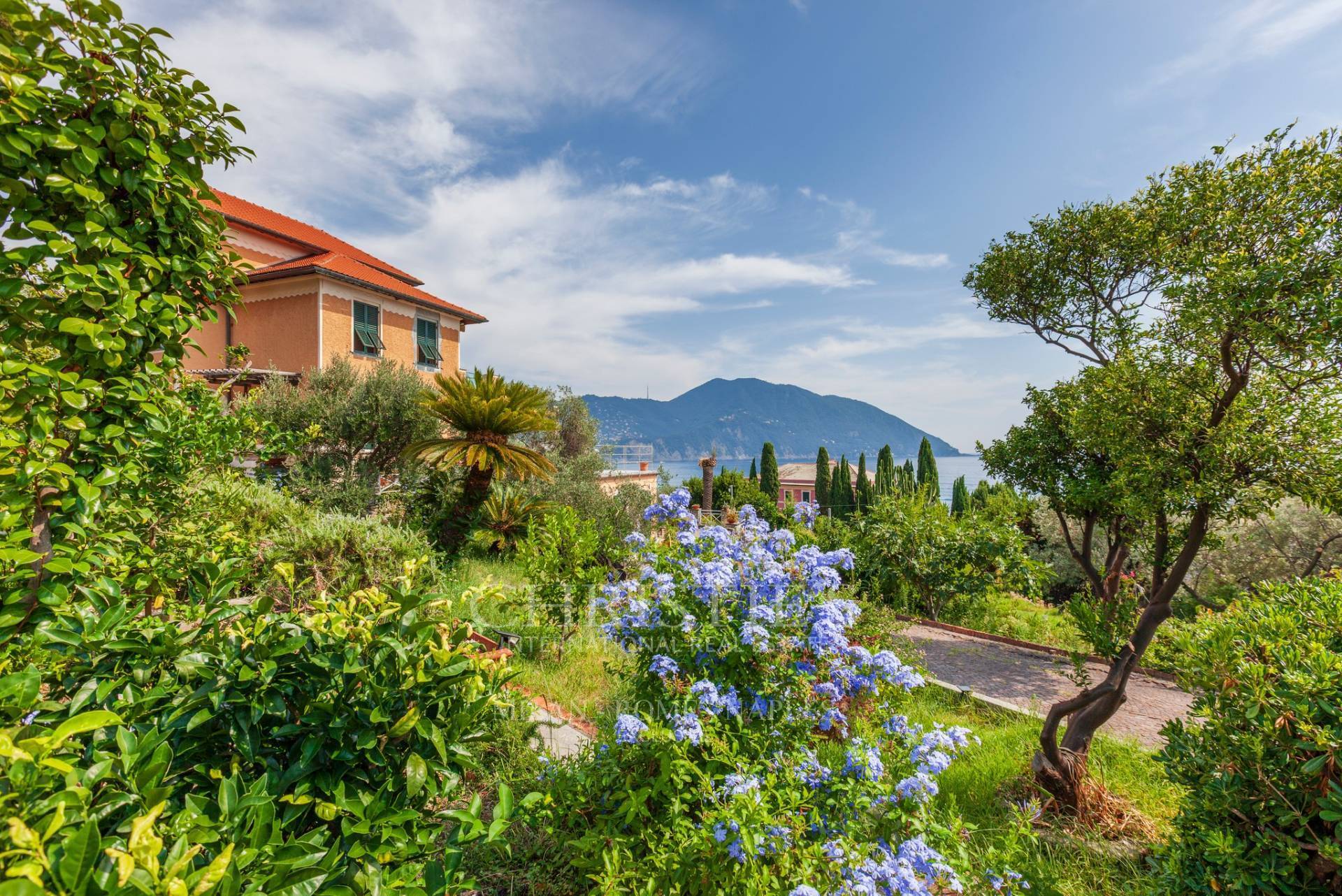 picture of Villa On The Eastern Ligurian Riviera - Levante