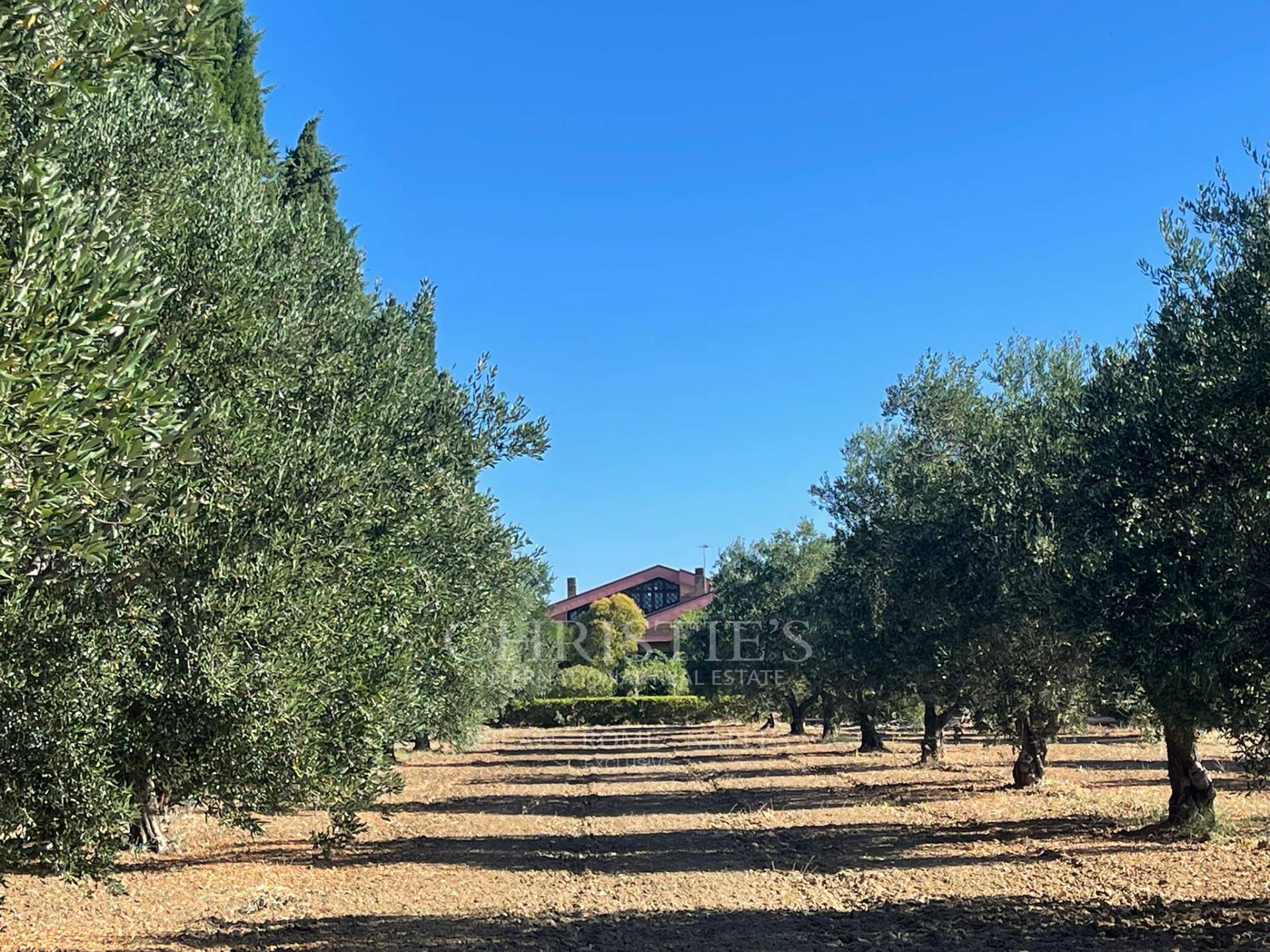 picture of Prestigious Estate In Valle D'itria
