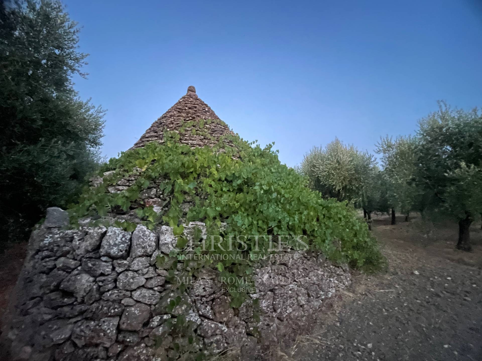 picture of Prestigious Estate In Valle D'itria