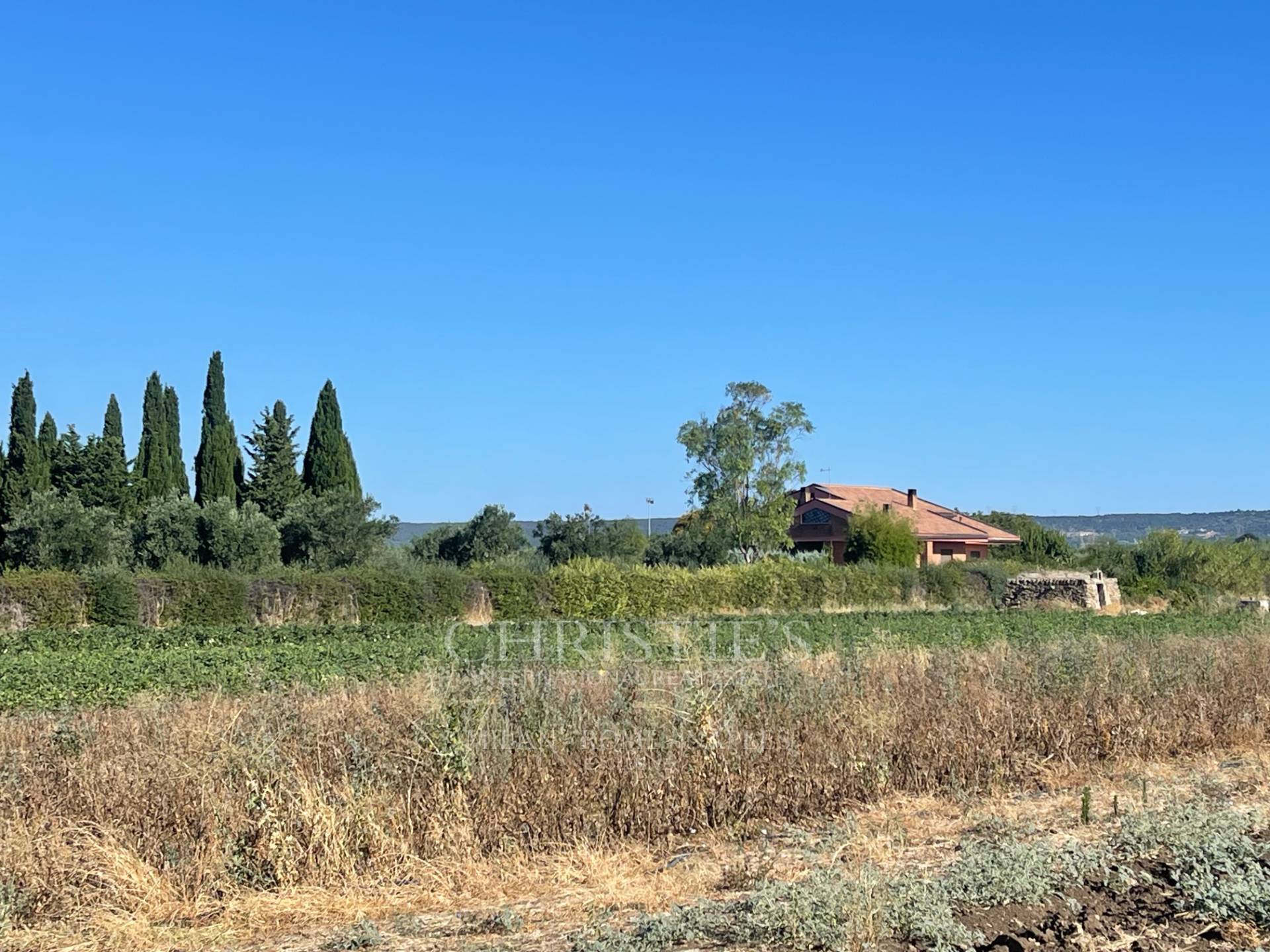 picture of Prestigious Estate In Valle D'itria