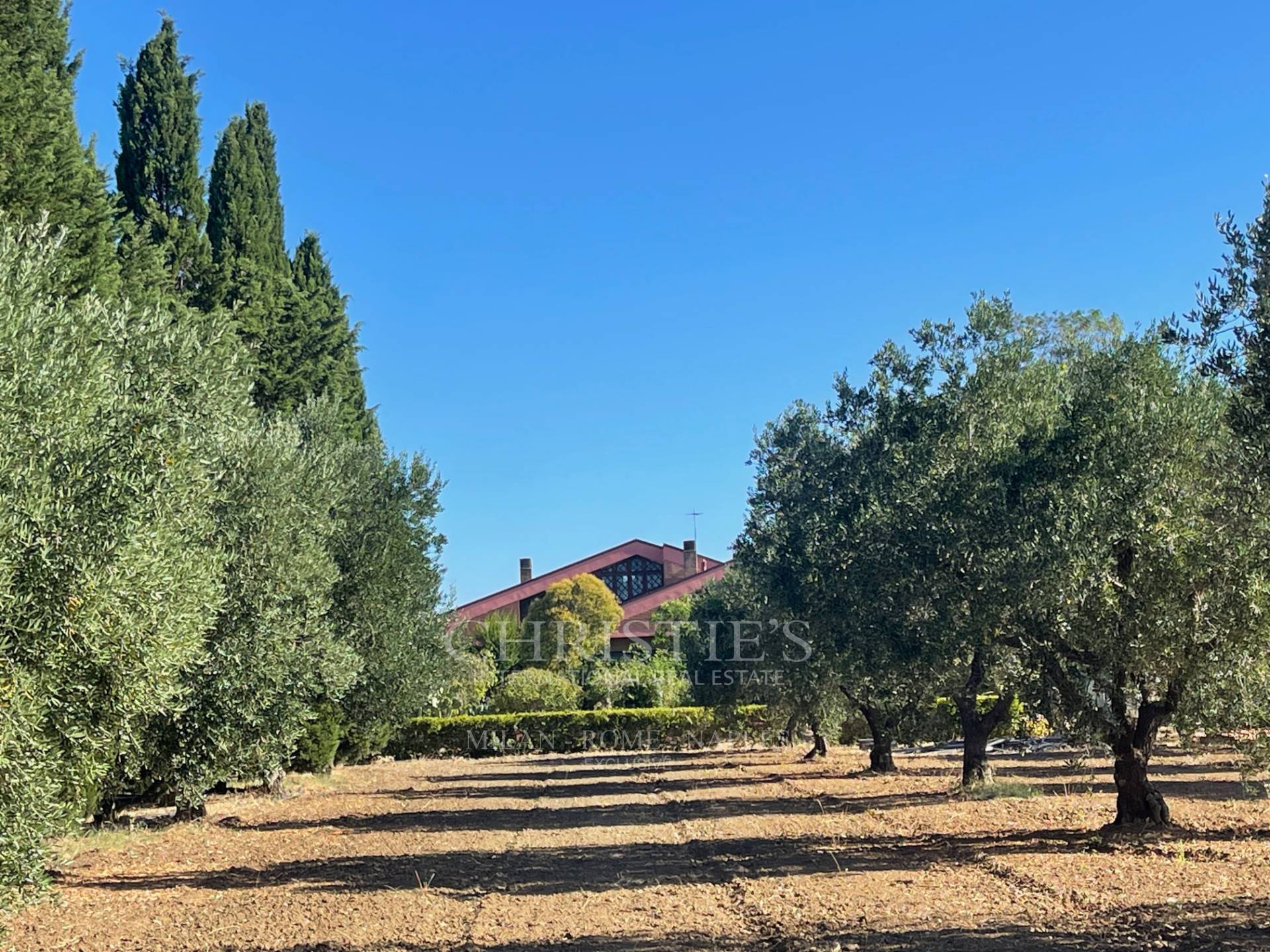 picture of Prestigious Estate In Valle D'itria