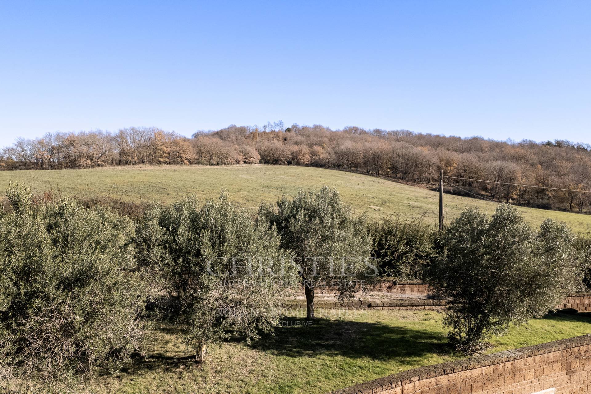 picture of Exclusive Lake View Villa In Trevignano Romano