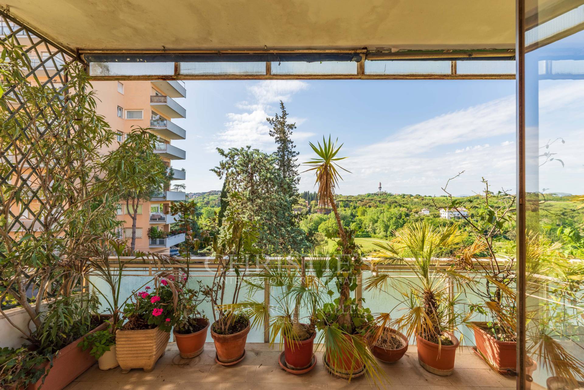 picture of Large Apartment In Residential District