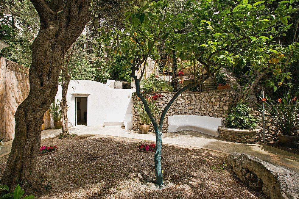 picture of Prestigious Villa In Capri