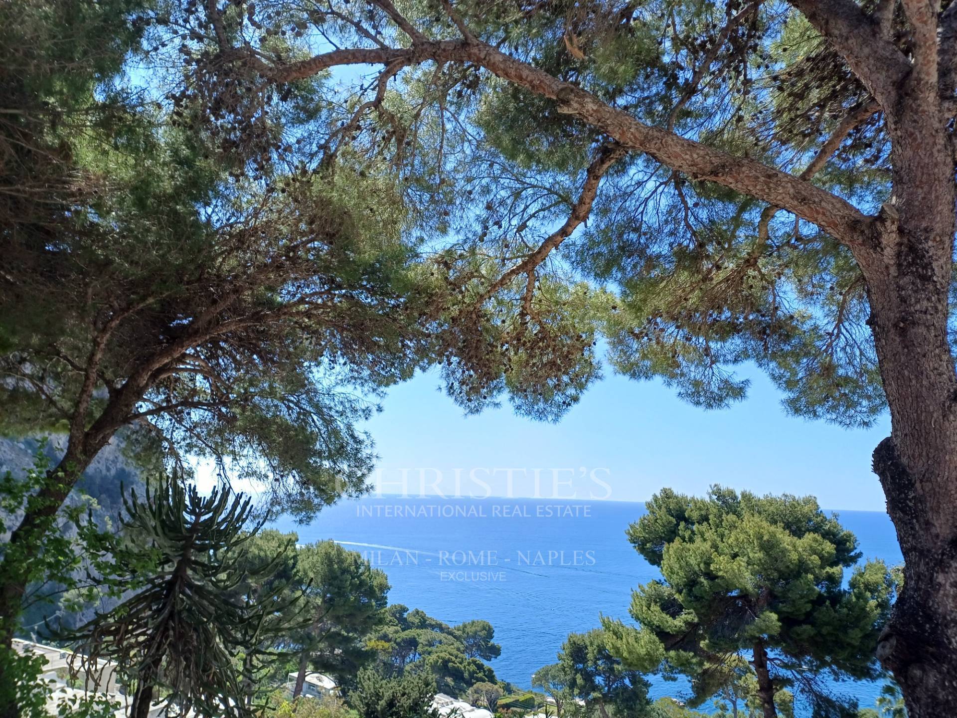 picture of Prestigious Villa In Capri