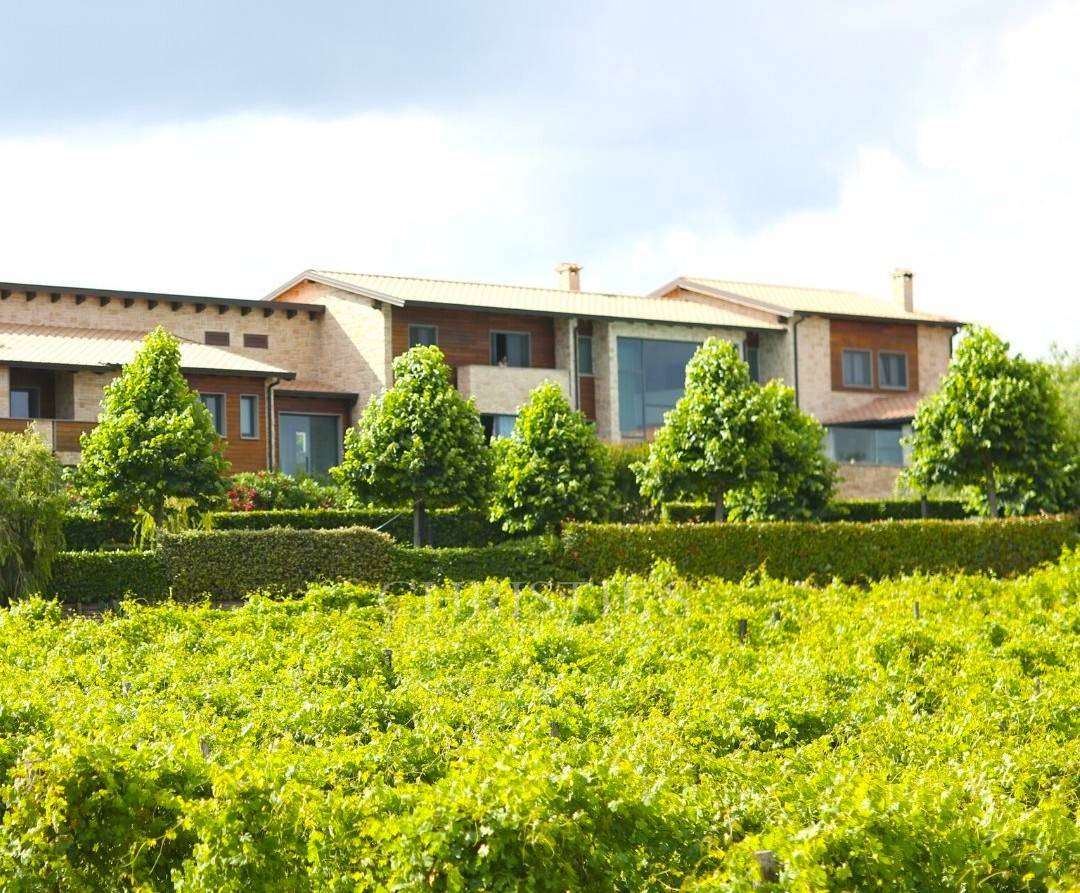 picture of Winery Resort With 6.5 Hectares Of Vineyards For Sale In Campania