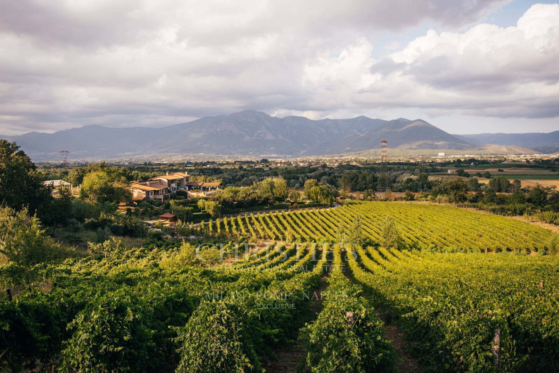 picture of Winery Resort With 6.5 Hectares Of Vineyards For Sale In Campania