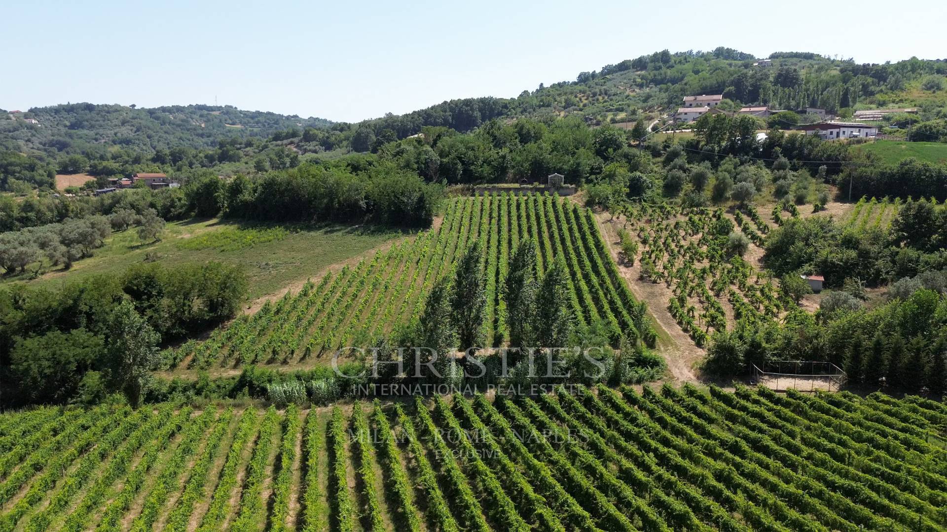 picture of Winery Resort With 6.5 Hectares Of Vineyards For Sale In Campania