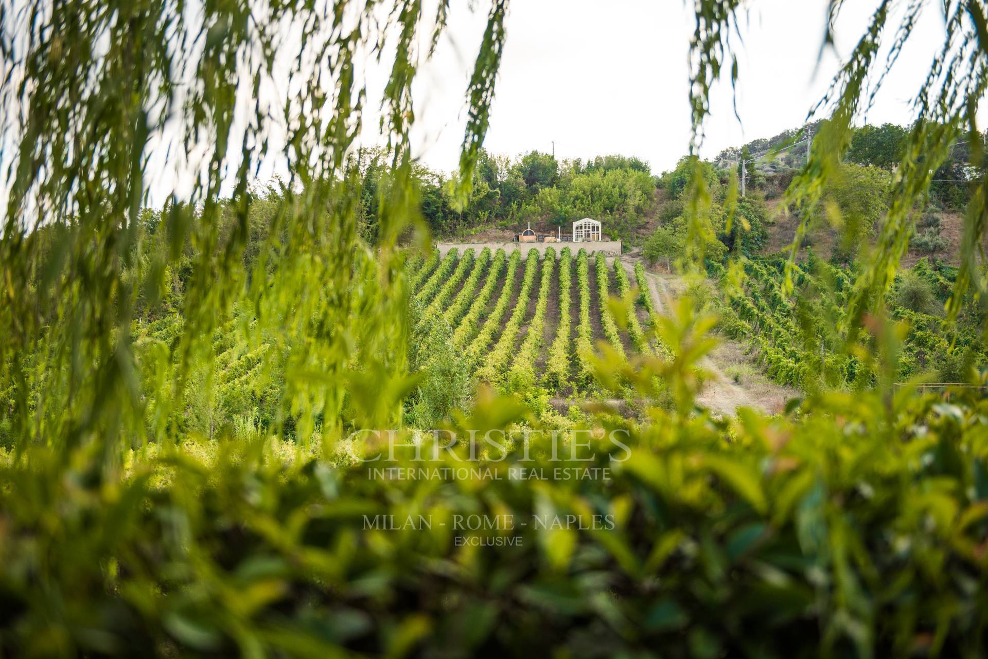 picture of Winery Resort With 6.5 Hectares Of Vineyards For Sale In Campania