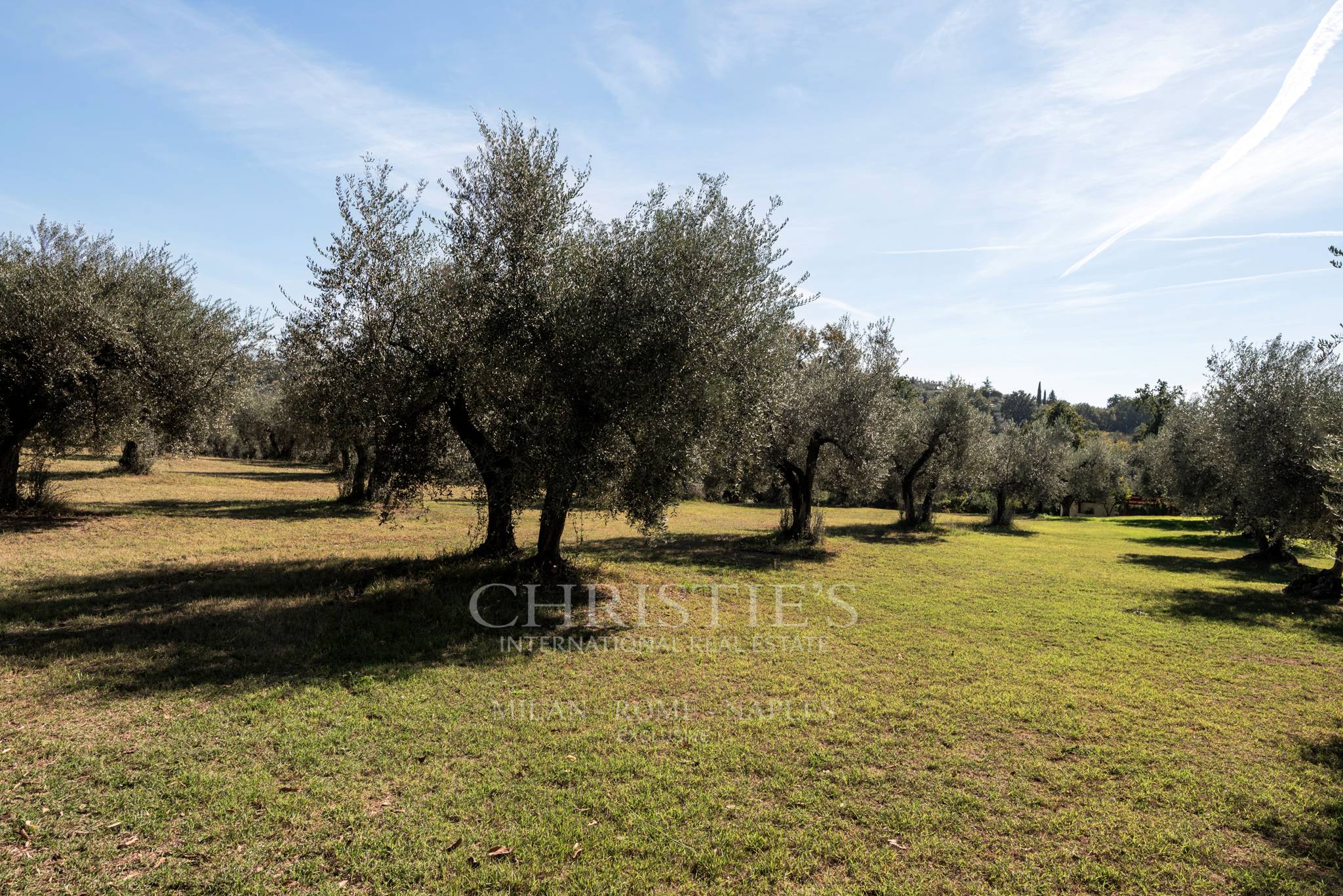 picture of Villa With Olive Grove, Pool, And Independent Apartment – Coltodino, Fara In Sabina