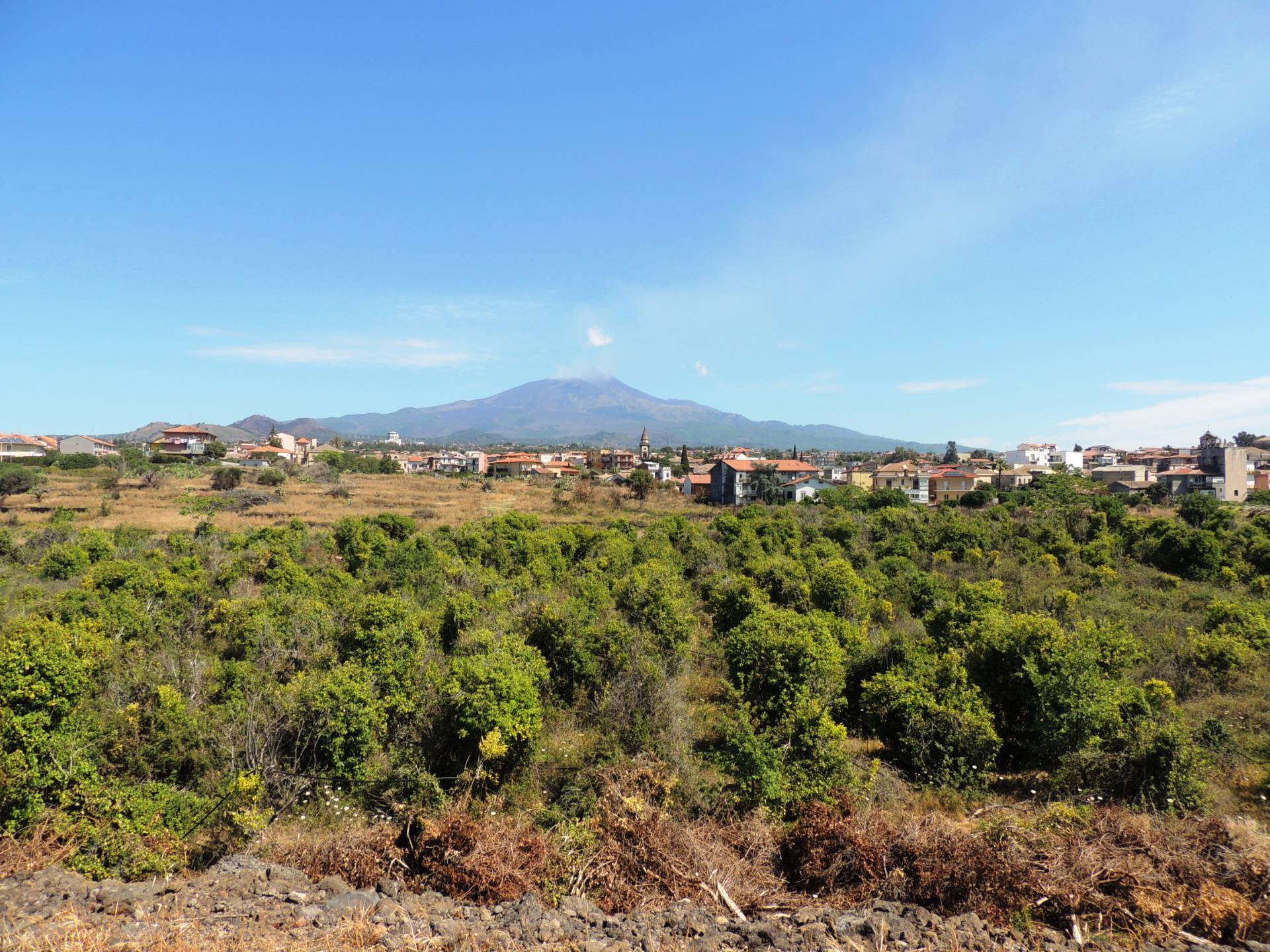 Terreno agricolo in vendita a Mascalucia (CT)