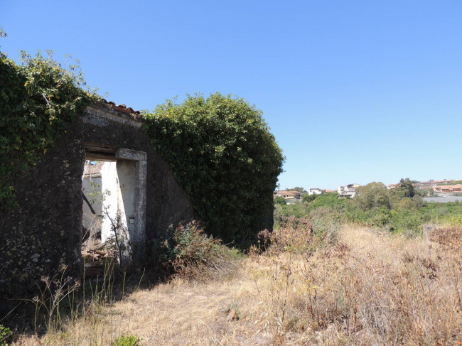 Terreno agricolo in vendita a Mascalucia (CT)