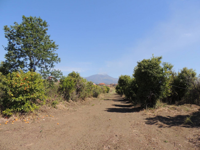 Terreno agricolo in vendita a Mascalucia (CT)