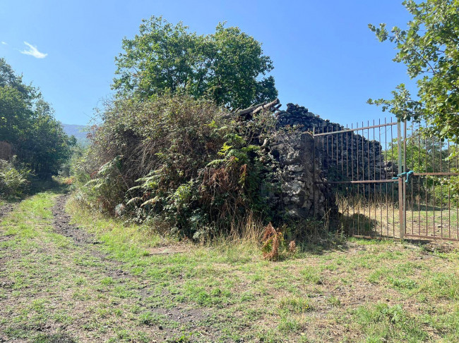 Terreno agricolo in vendita a Randazzo (CT)