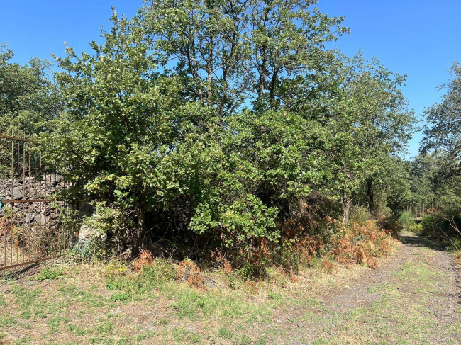 Terreno agricolo in vendita a Randazzo (CT)