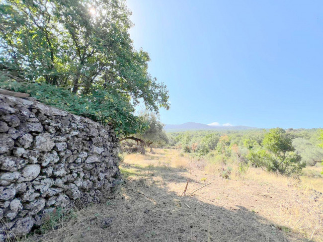 Terreno agricolo in vendita a Randazzo (CT)