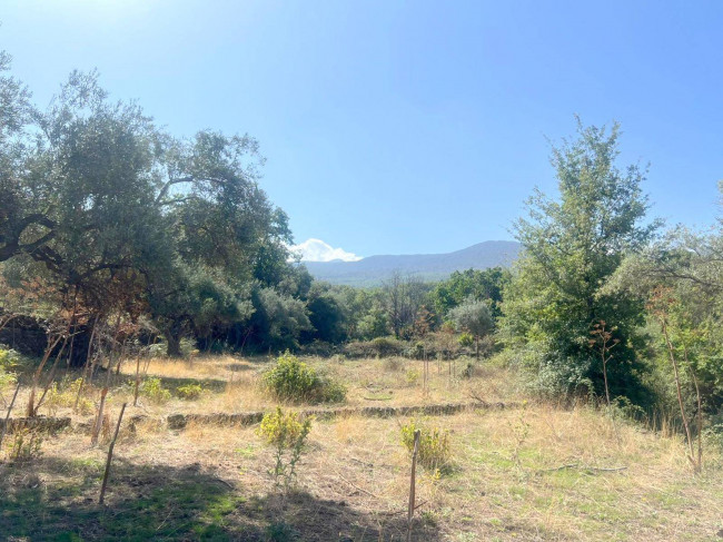 Terreno agricolo in vendita a Randazzo (CT)