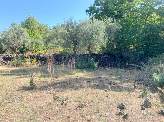 Terreno agricolo in vendita a Randazzo (CT)