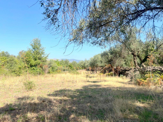 Terreno agricolo in vendita a Randazzo (CT)