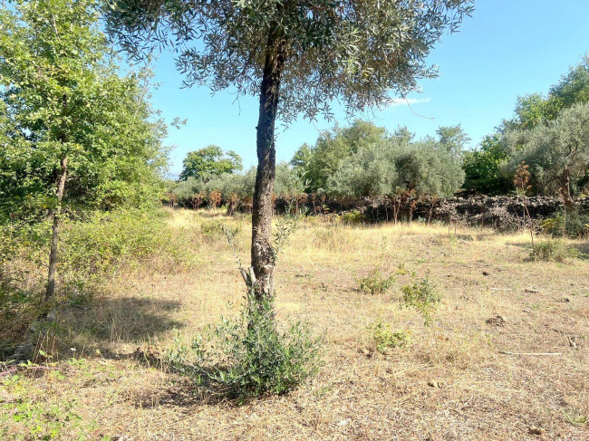 Terreno agricolo in vendita a Randazzo (CT)