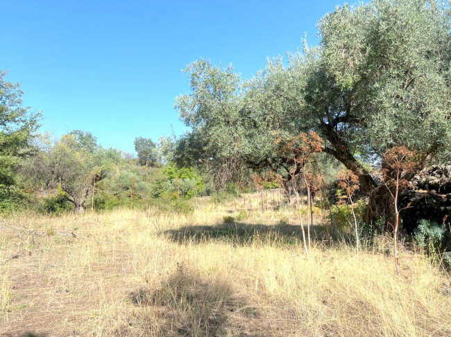 Terreno agricolo in vendita a Randazzo (CT)