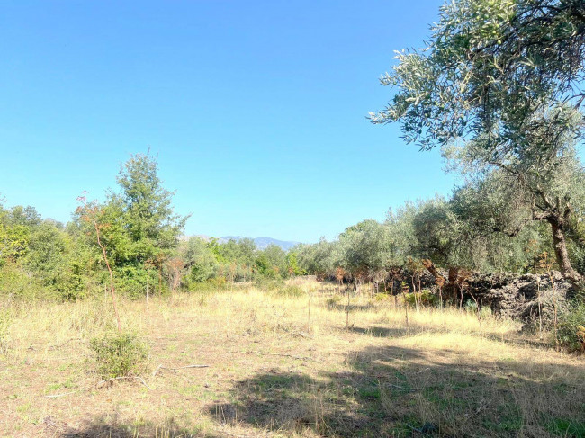 Terreno agricolo in vendita a Randazzo (CT)