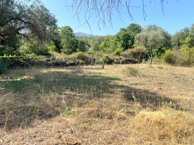 Terreno agricolo in vendita a Randazzo (CT)