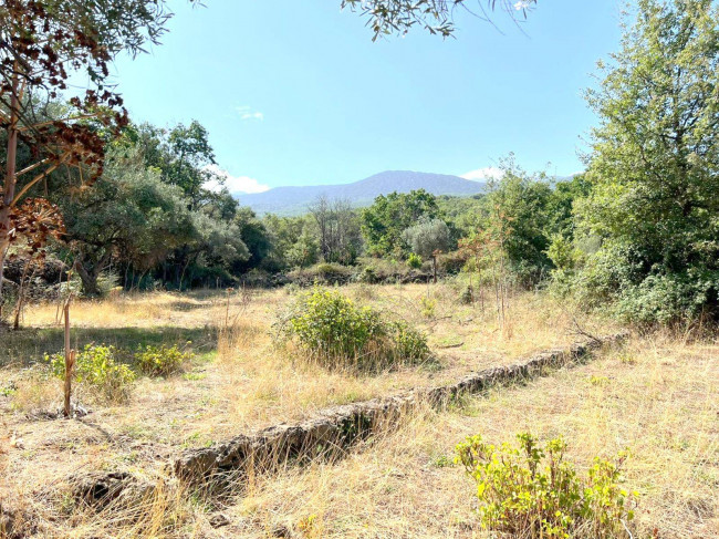 Terreno agricolo in vendita a Randazzo (CT)