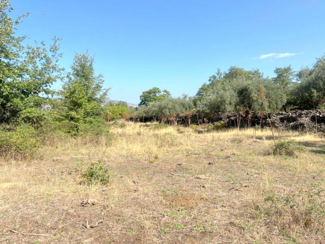 Terreno agricolo in vendita a Randazzo (CT)