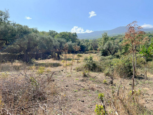 Terreno agricolo in vendita a Randazzo (CT)