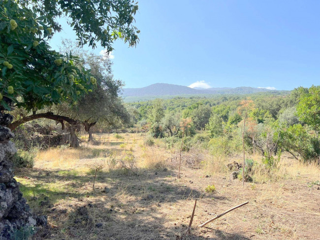 Terreno agricolo in vendita a Randazzo (CT)